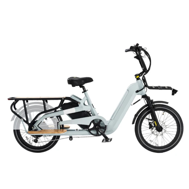 US in  Dual Removable Lithium Battery Optional Seat Basket Ebike Bicycle 250W-750W Powerful Motor Electric Cargo Bike