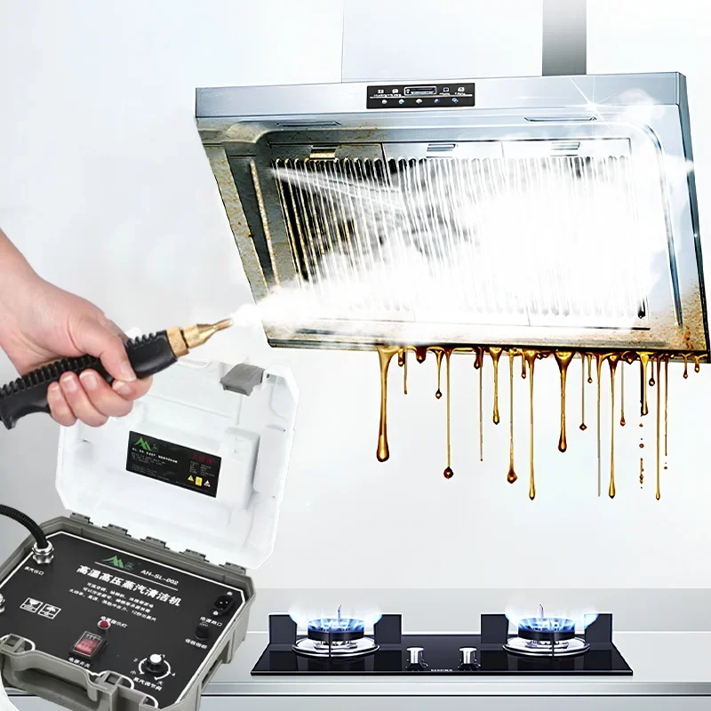 منظف البخار ارتفاع درجة الحرارة والضغط آلة تنظيف البخار المضغوطة متعددة الأغراض نبض الضغط العالي 110 فولت/220 فولت