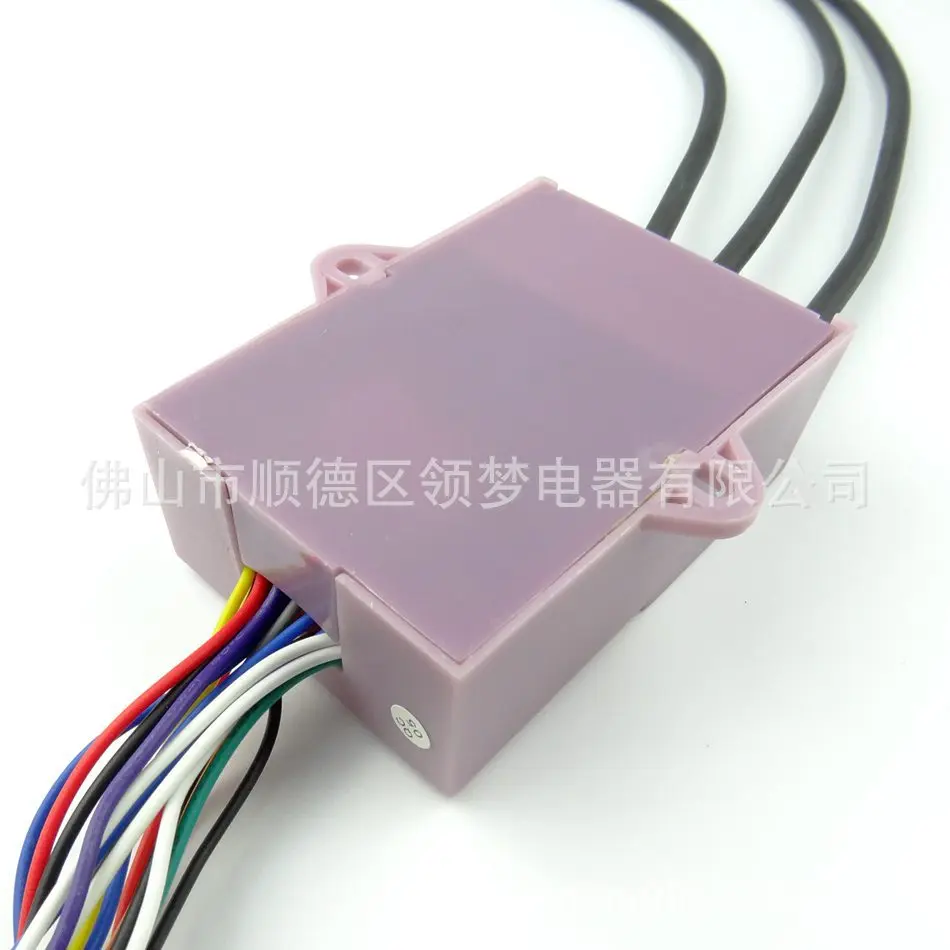 Pulse Igniter Temperature Control Gas Water Heater Parts Double Ignition Pulse Igniter Controller