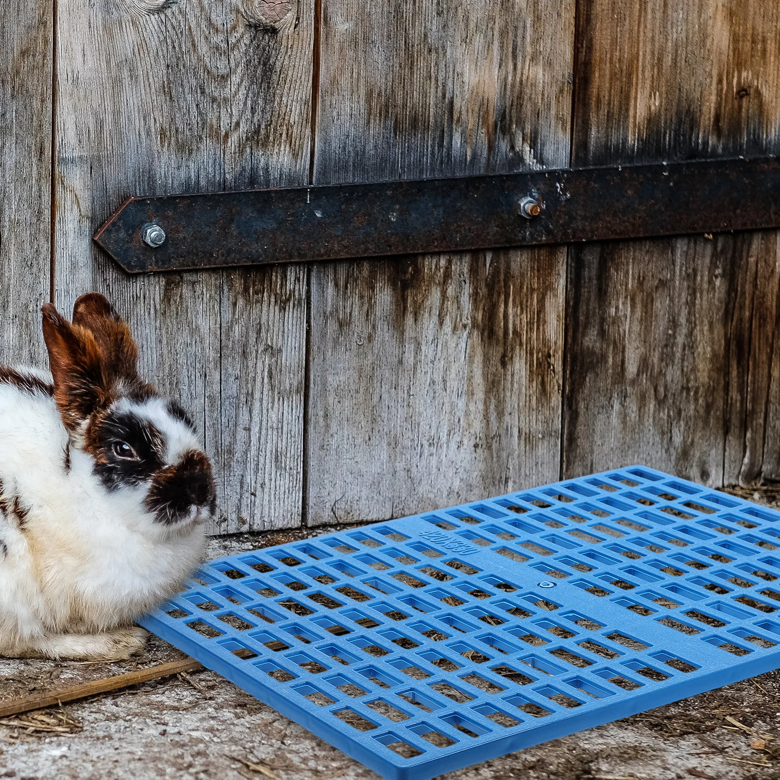 4 Pcs Seat Cushion Pet Cage Mat Bridegroom Floor Mats Guinea Pig Accessories Plastic Bunny Pads for - Image 6