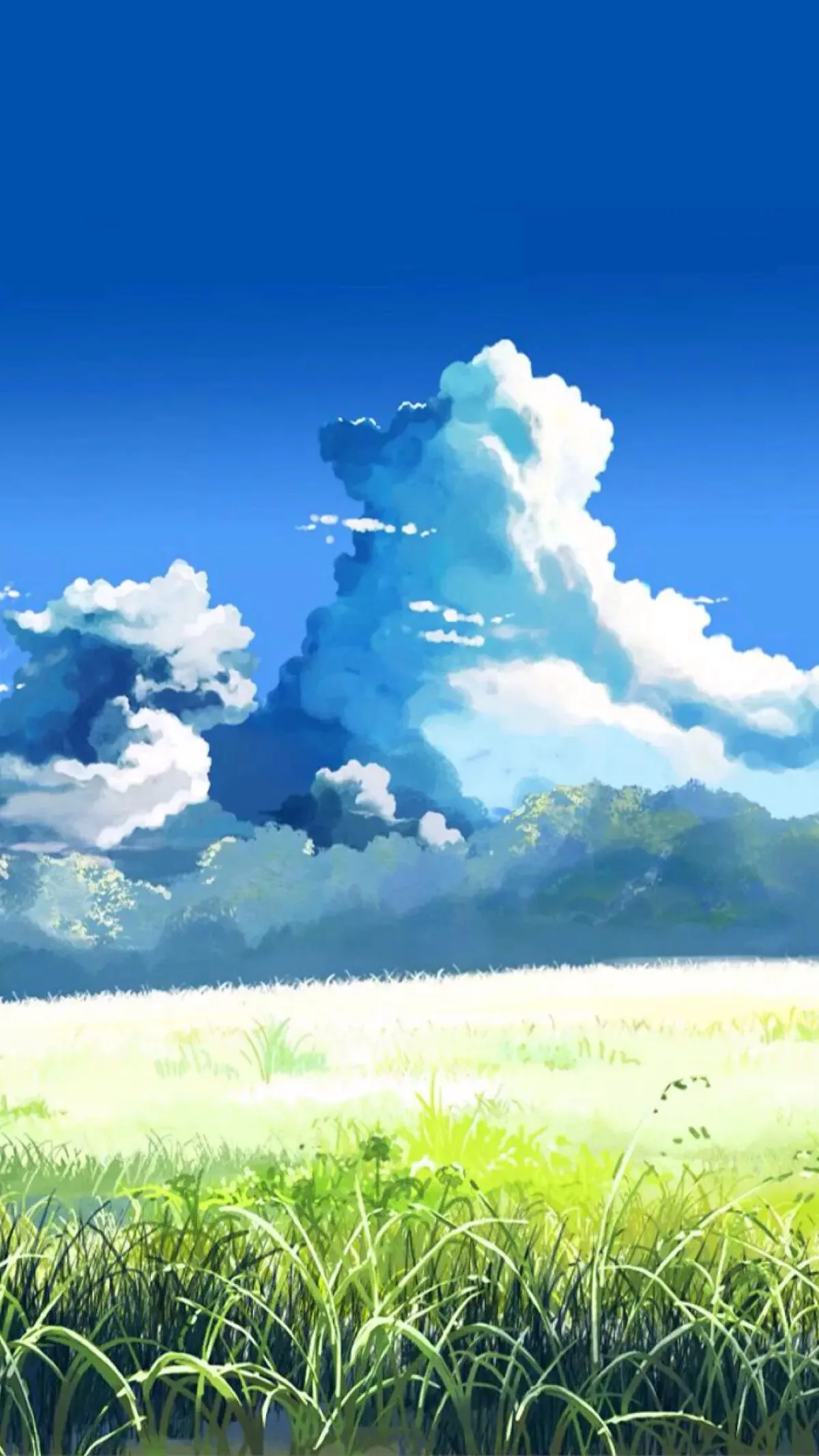 

1/10 RC Racing Car Wheels Rally Tyre & On Road Tires 12mm Hex for Tamiya XV01 XV02 TA06 TT01 TT02 PTG2 144001 A959 HPI