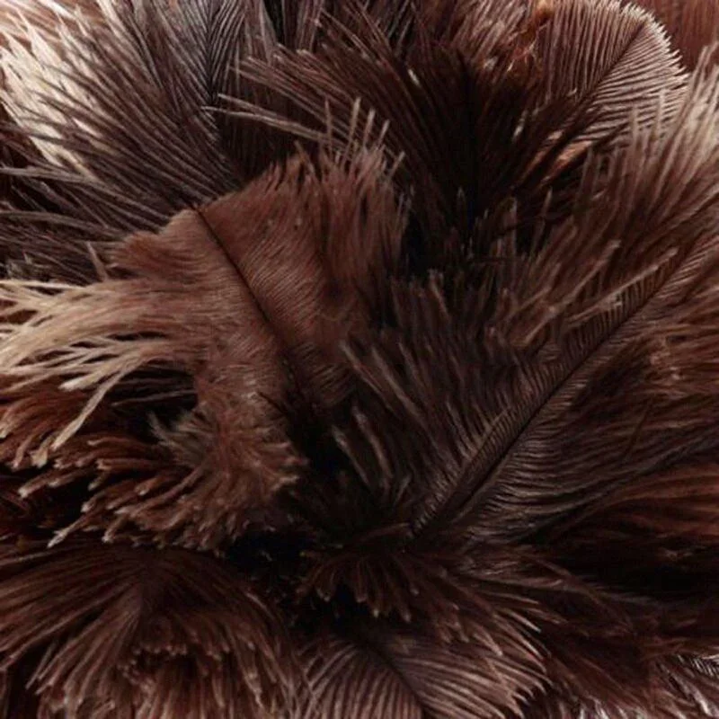 New Household Anti-static Ostrich Feather Brush Wooden Handle Duster Dust Removal Tool Impurity Cleaning Household Accessories view 4