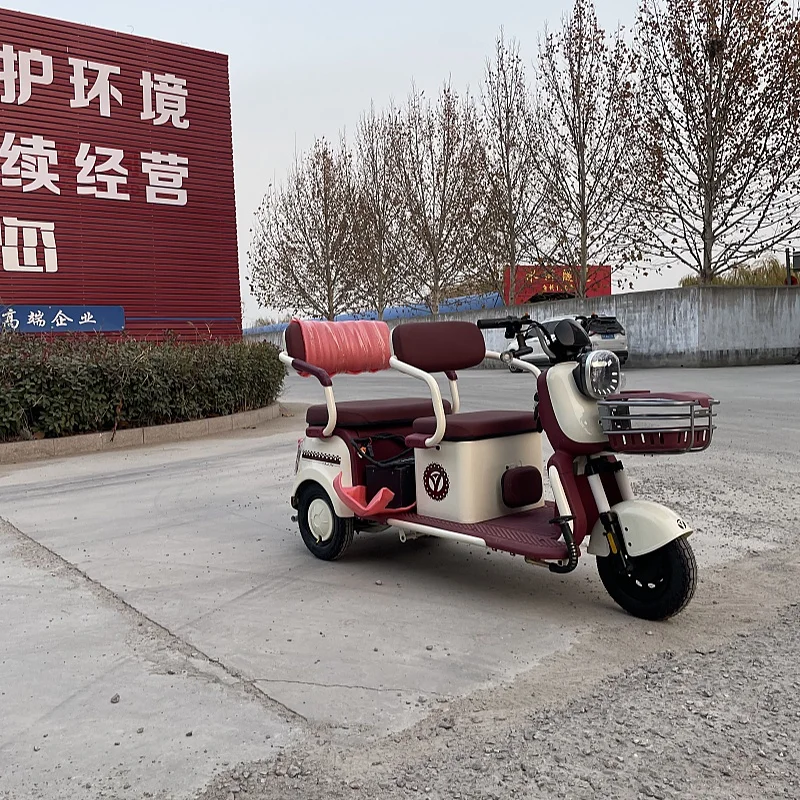 

Elderly electric tricycle small convertible