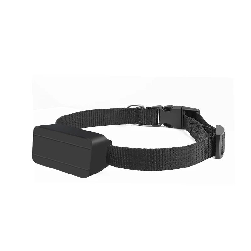

Newly 4G Wireless China Manufacturer Small Pet GPS Tracker for Disabled Person