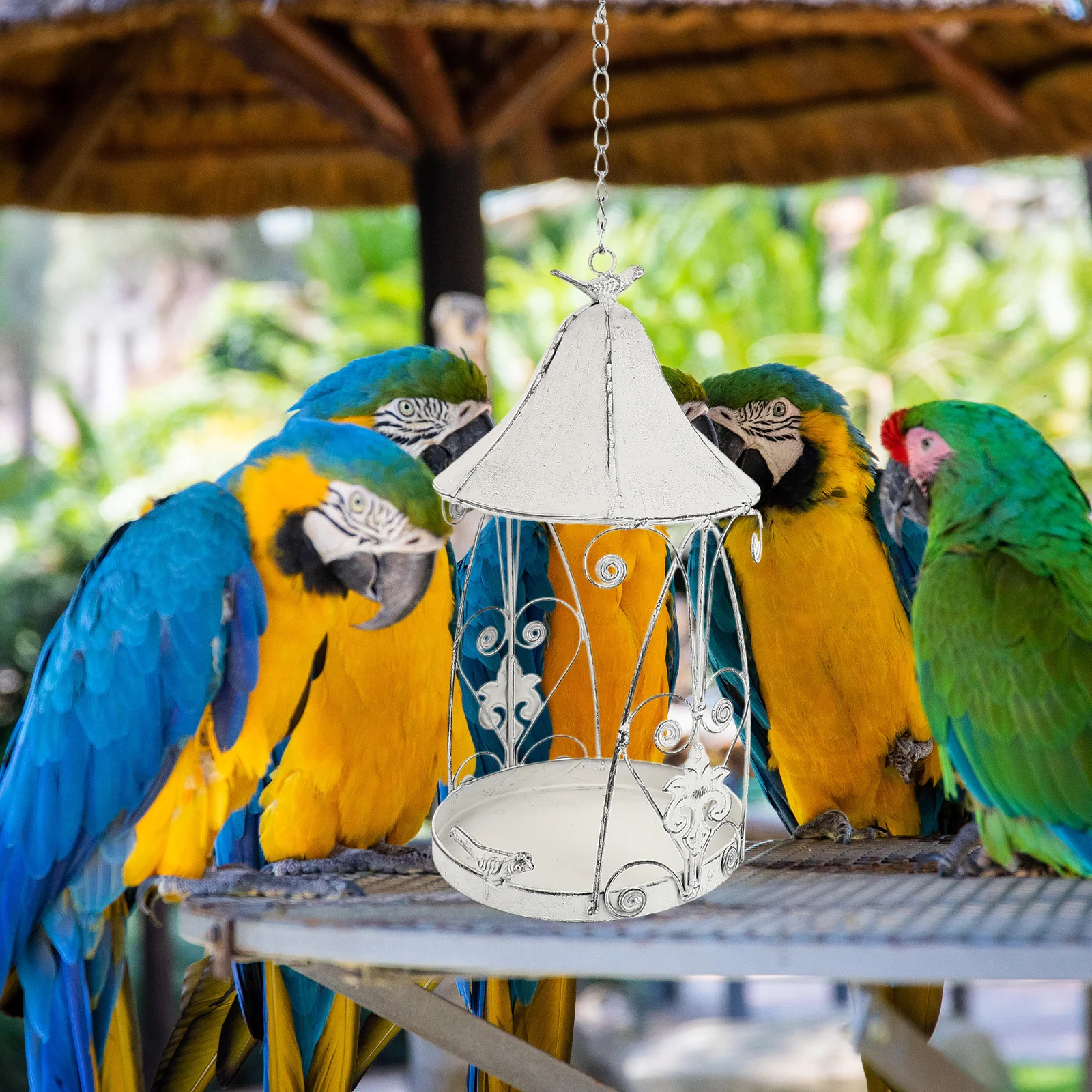 

1Pcs Feeder Hanging Garden Decorative Feeding Container for Small Birds Outdoor Yard Ornament Accessory
