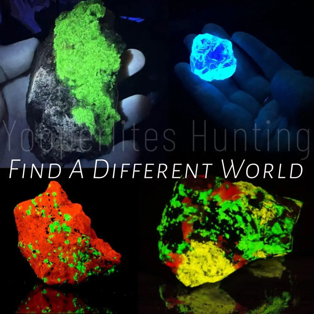 مصباح يدوي Blacklight بالأشعة فوق البنفسجية 365 نانومتر، مصباح LED مُصفى بأربعة النواة، عالي الطاقة طويل المدى لـ Yooperlite، بول الحيوانات الأليفة، كشف الراتنج