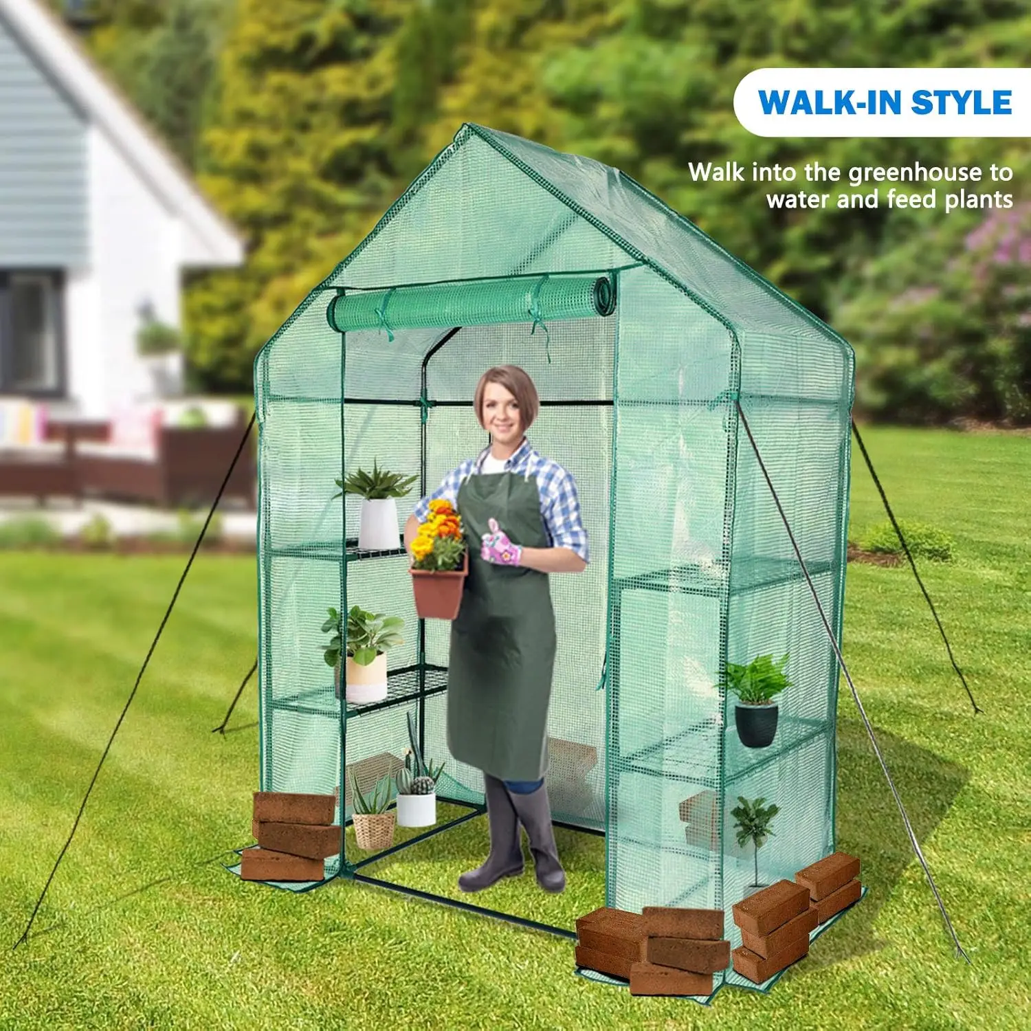 Greenhouse ,56 X 30 X 76''Mini Walk in Greenhouse, Portable Greenhouse with Roll-up Zipper Entry Door and Anchors for Stability