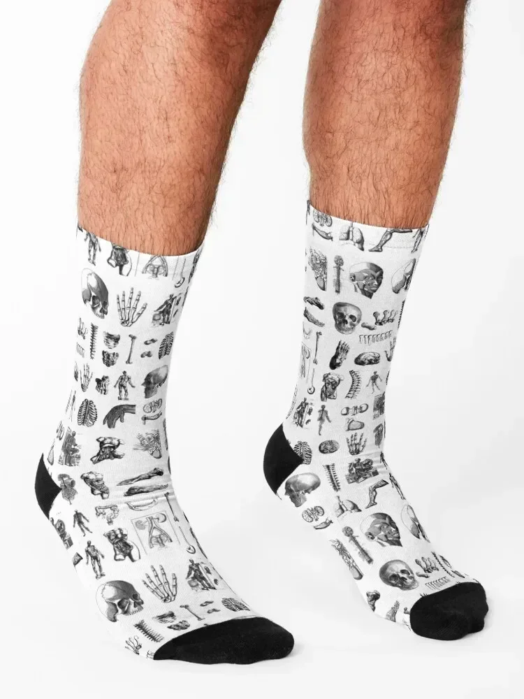 Anatomy Socks floral Stockings man soccer anti-slip kawaii Socks Women's Men's