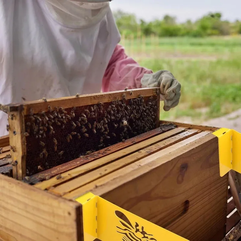 Easy-to-Use Top Quality Metal Hive Frame Kit for Beekeeping No Electricity Required Essential Bee Collection Tools And Supplies