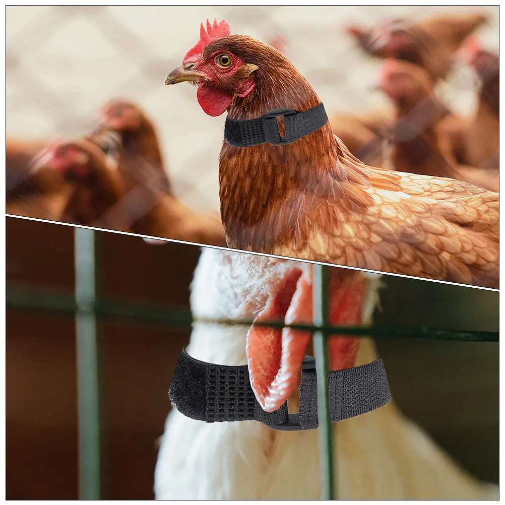 4pcs Anti-Hook Rooster Neck Ring Adjustable Durable Rooster Collar For Farm Poultry Protection Lightweight Chicken Neck Belt