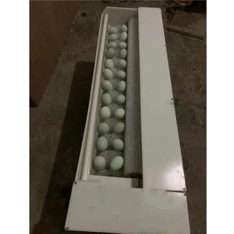 Salted egg washing machine Hen egg brush roller cleaning machine farm Goose machine