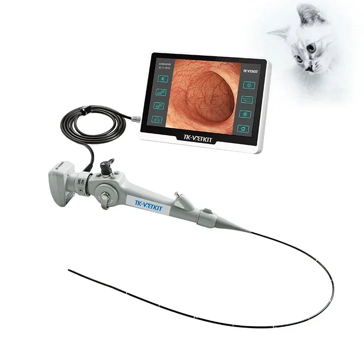 Portable Veterinary Endoscope system Cat and dog Bronchscopy 2.8mm diameter Small Animal endoscope