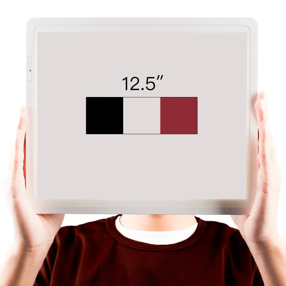 2026 12.5 Inch Big Electronic Shelf Label Esl Large Size E Ink E Paper Display for Digital Price Tag