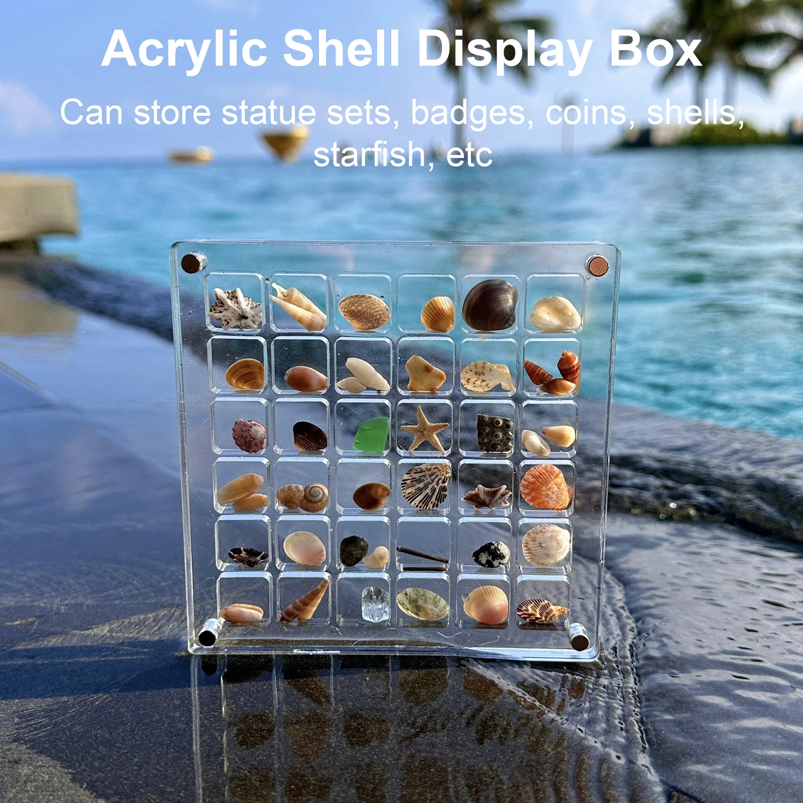 Seashell Display Box Acrylic Magnetic Seashell Display Case Acrylic Organizer Box Stackable Small Craft Organizers Compartment