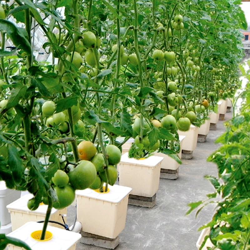 Dutch Bato Bucket Lids for Planting Pot NFT Hydroponics Box System Smart Growing Equipment Cover