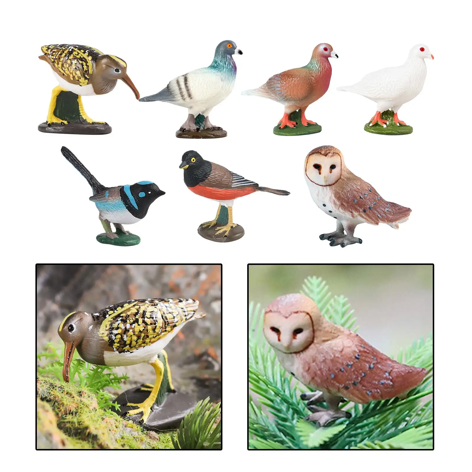 Durable Bird Figurine Bird Model Cute Animal Figures Fine Workmanship Bird