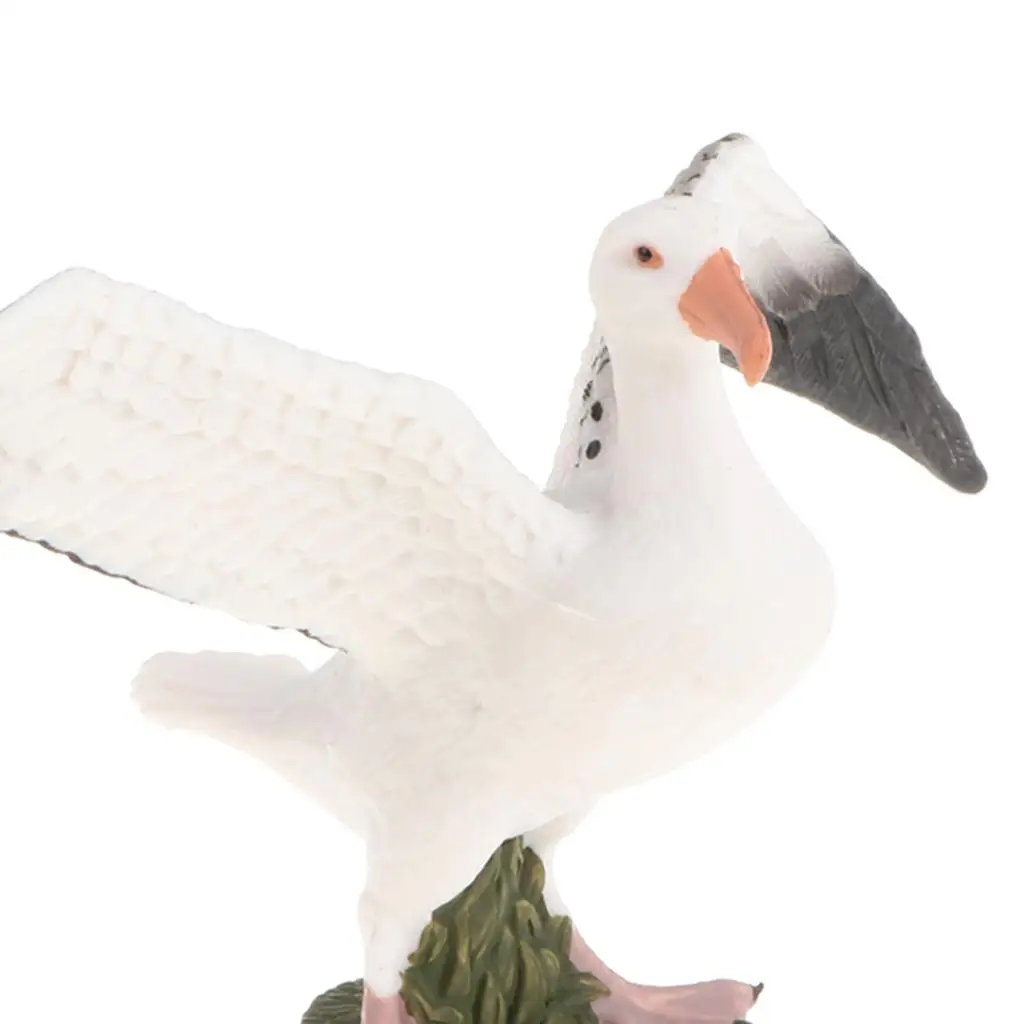Seagull Figurine Model Realistic Animal Toy Educational Child Nature Collectible for Children Desk Display