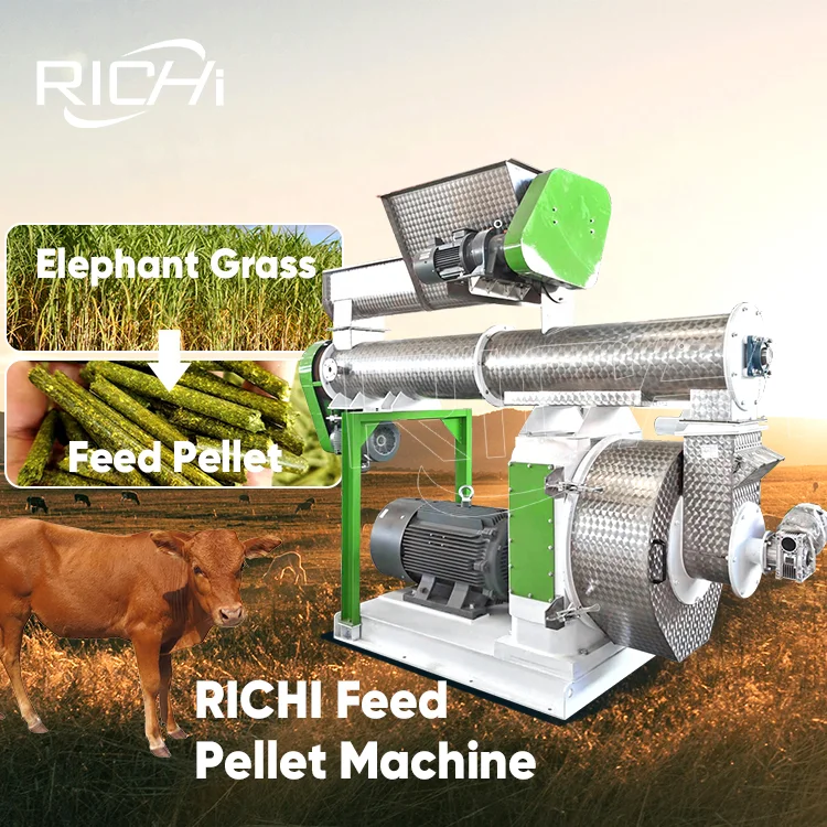 

ATV&UTVRICHI 100kw Animal Feed Pelletizer - Free Customized Cattle Poultry Animal Feed Pellet Plant