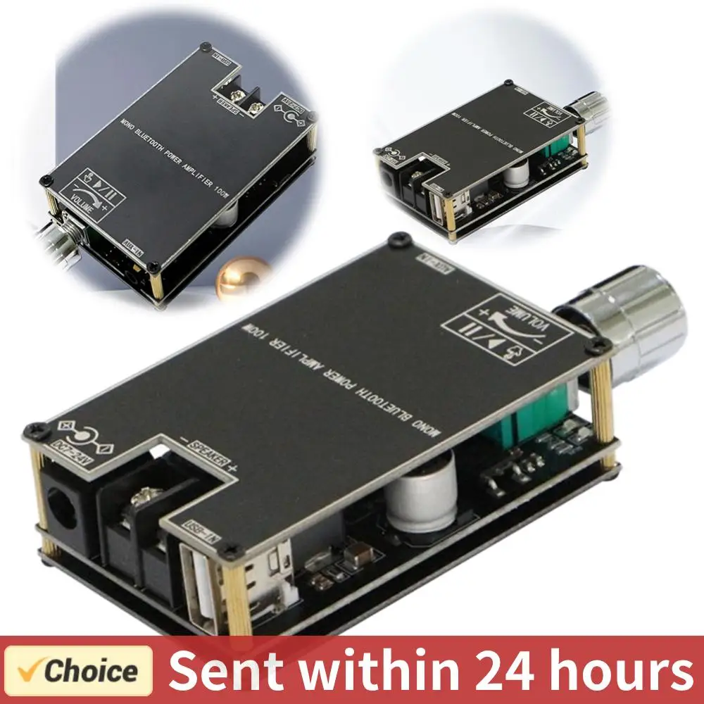 ZK-1001B Mono 100W …