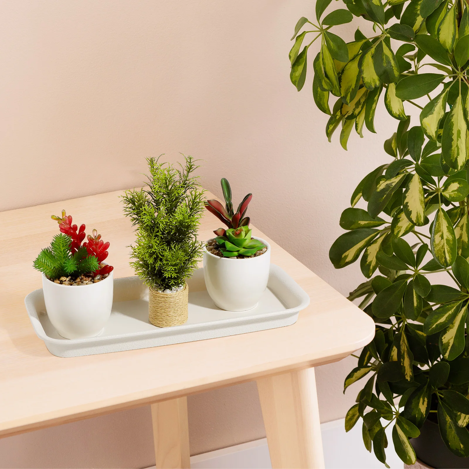 

Rectangular Water Tray Plant Pots Beige Extra Small Flower Faux Plants Indoor Durable PP Resin Easy Clean Heat Resistant Plastic