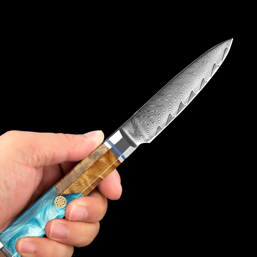 

Sharp Damascus steel Paring knife 3.5 inch multi fruit knife household Japanese kitchen peeling knife cooking Utility knife