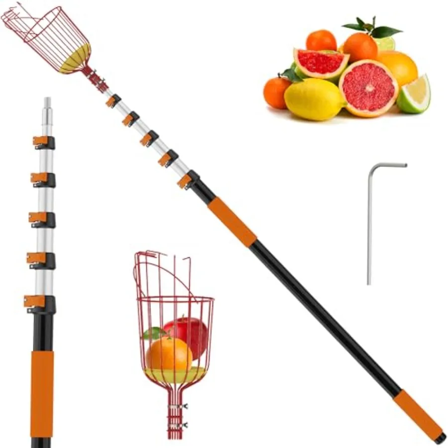 30Feet Reach Fruit Picker with Basket Telescoping Aluminum Pole Dual Flip-Lock and Screw Fixing Design for Apple Orange Mango A
