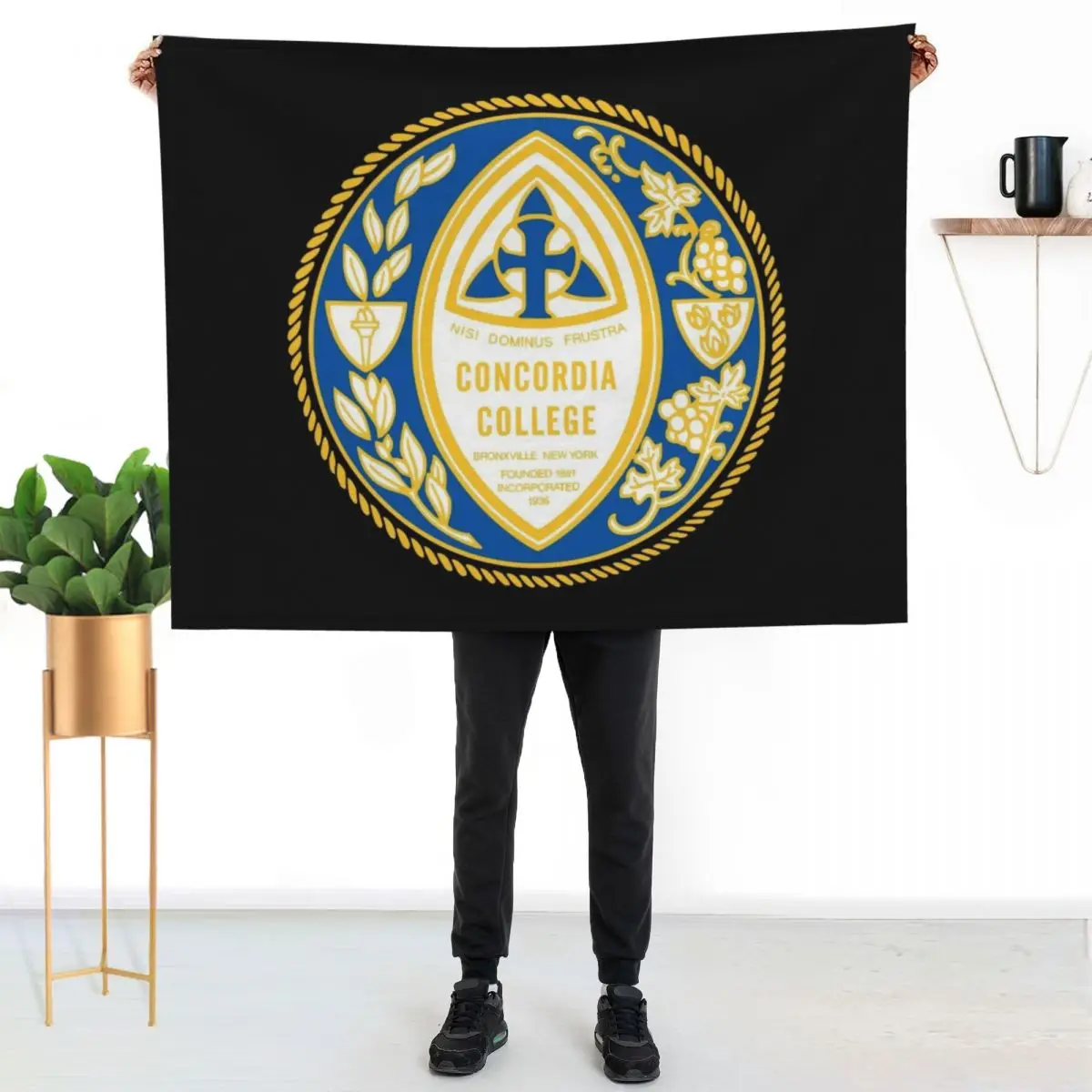 Concordia College Conservatory Throw Blanket Luxury Throw Thins Polar Summer Beddings halloween Soft Beds Blankets