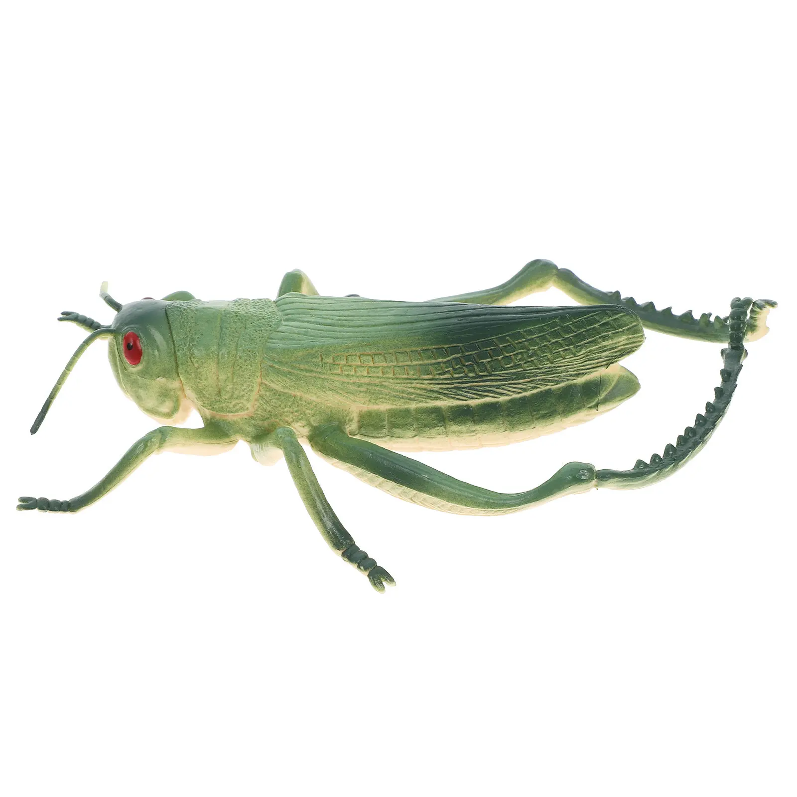 Sturdy Green Grasshopper Figure Realistic Insect Decor for Garden Yard Backyard Playsets Educational Displays Insect Party