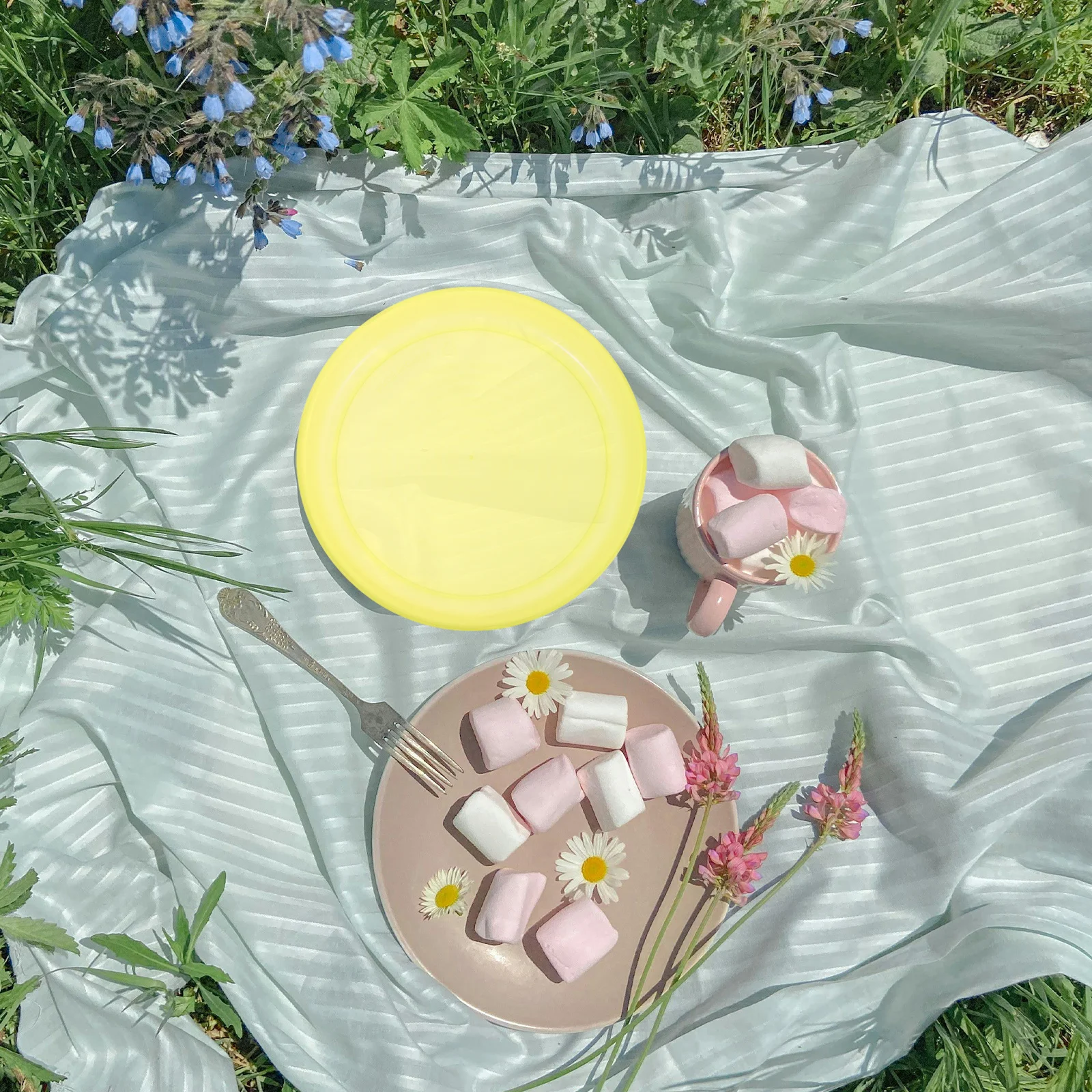 

Unbreakable Plastic Dinner Plate Reusable Translucent Lightweight Dish for Picnic Bbq Travel Kids Parties Indoor Outdoor