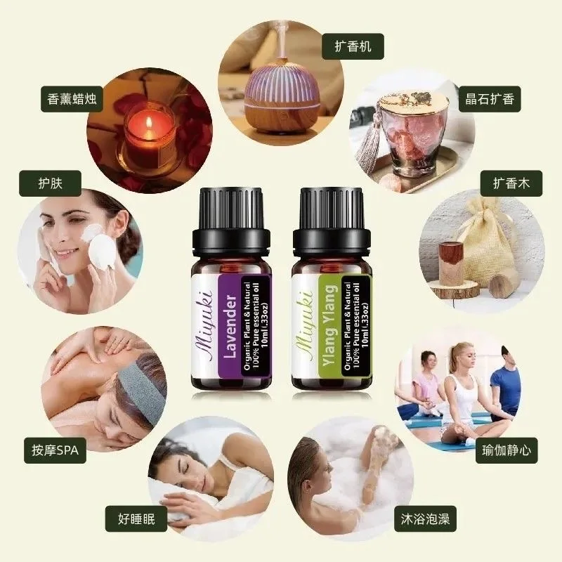 6-teiliges Set Geschenk box einzelne ätherische Öl Pflanze Aroma therapie 10ml Home Auto Diffusor Duft DIY frische Luft