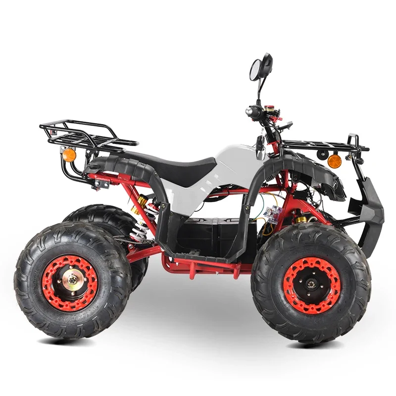 2024 Tao Motor elektrik ATV otomatis 4 roda, sepeda Quad dengan penggerak rantai 2WD untuk kendaraan Off-Road untuk pemula