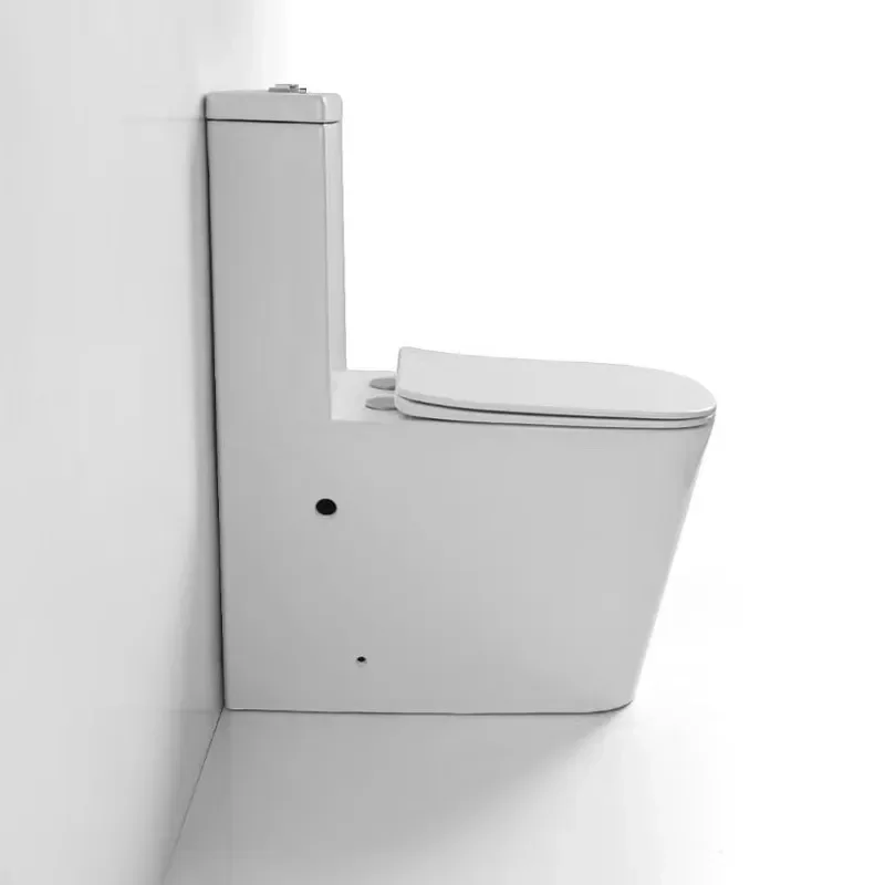 One Piece Toilet P Trap Siphonic Ceramic WC Bowl Bathroom Sanitary Ware Export Quality for Europe Australia Russia