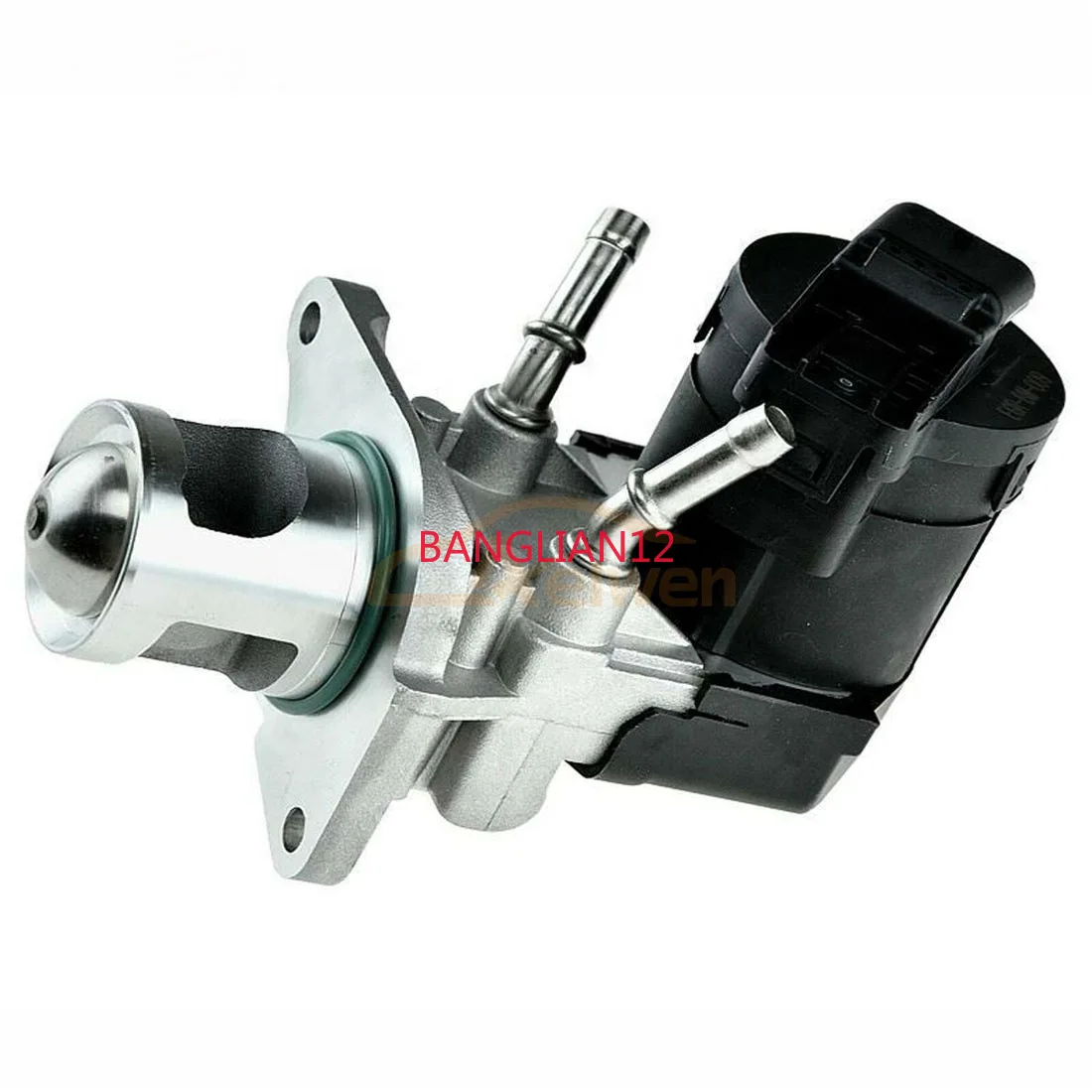 Egr Valve, Exhaust …