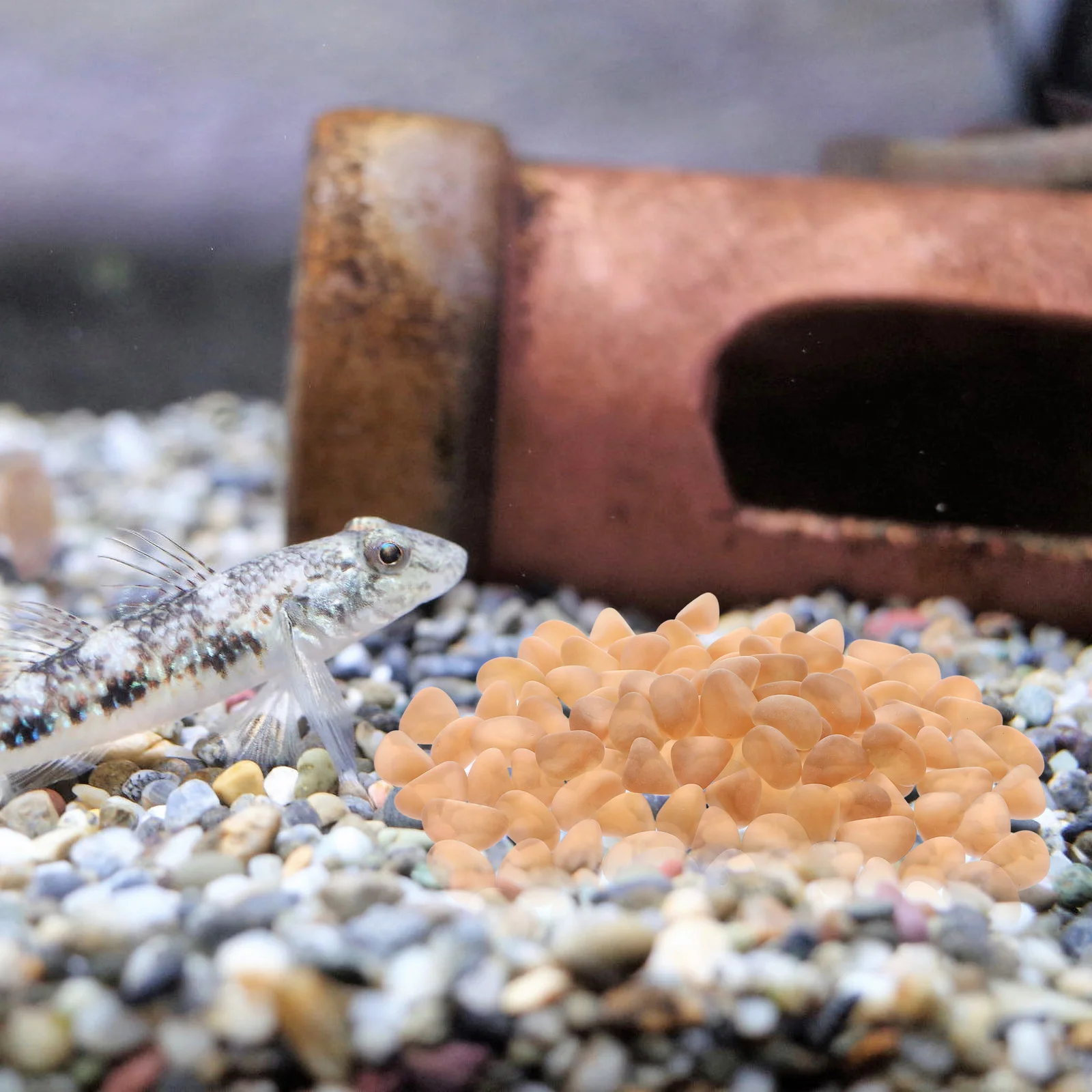 

Aquarium Decorations Fish Tank L scaping Stones Vintage Frosted Glass Gravel 2 Bags Easy Clean DIY Potted Plant Stone