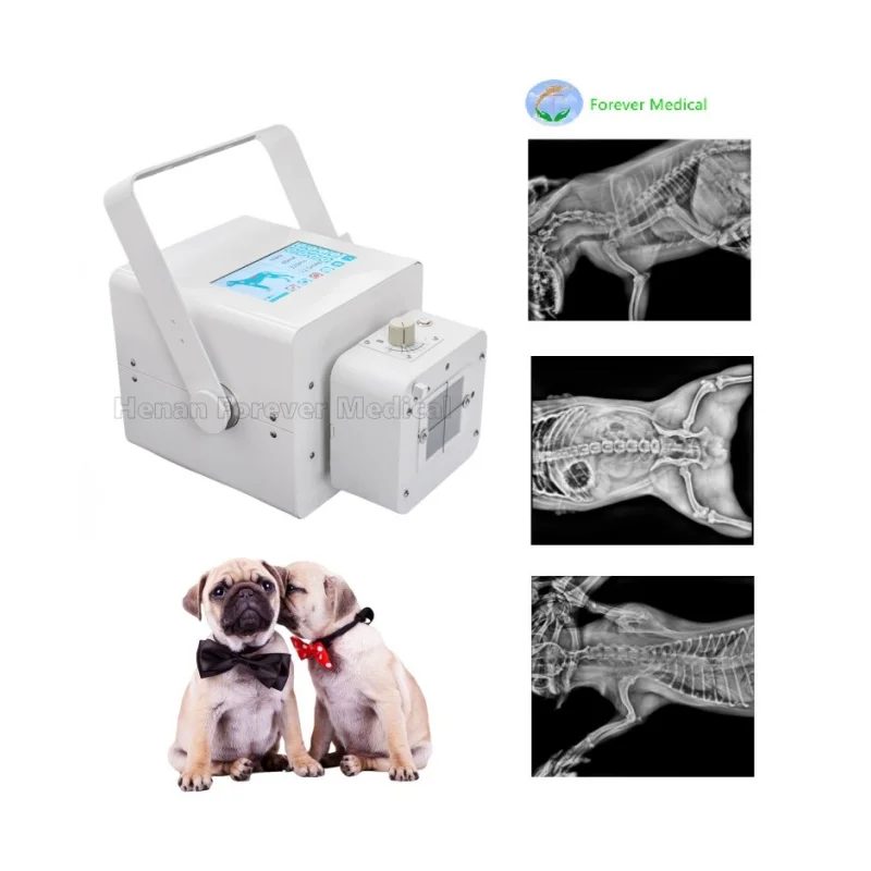 Factory 8KW Veterinary Portable X Ray Machine touch screen Vet X-ray Animals dr X Ray Equipment for pet clinic