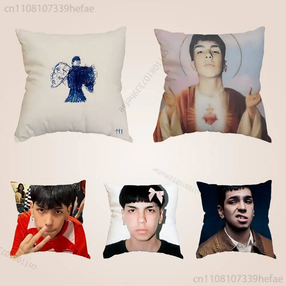 

M-Milo J 111 Singer Print Polyester Pillow Case for Valentine gift Home Sofa Cushion Cover Decoration Custom