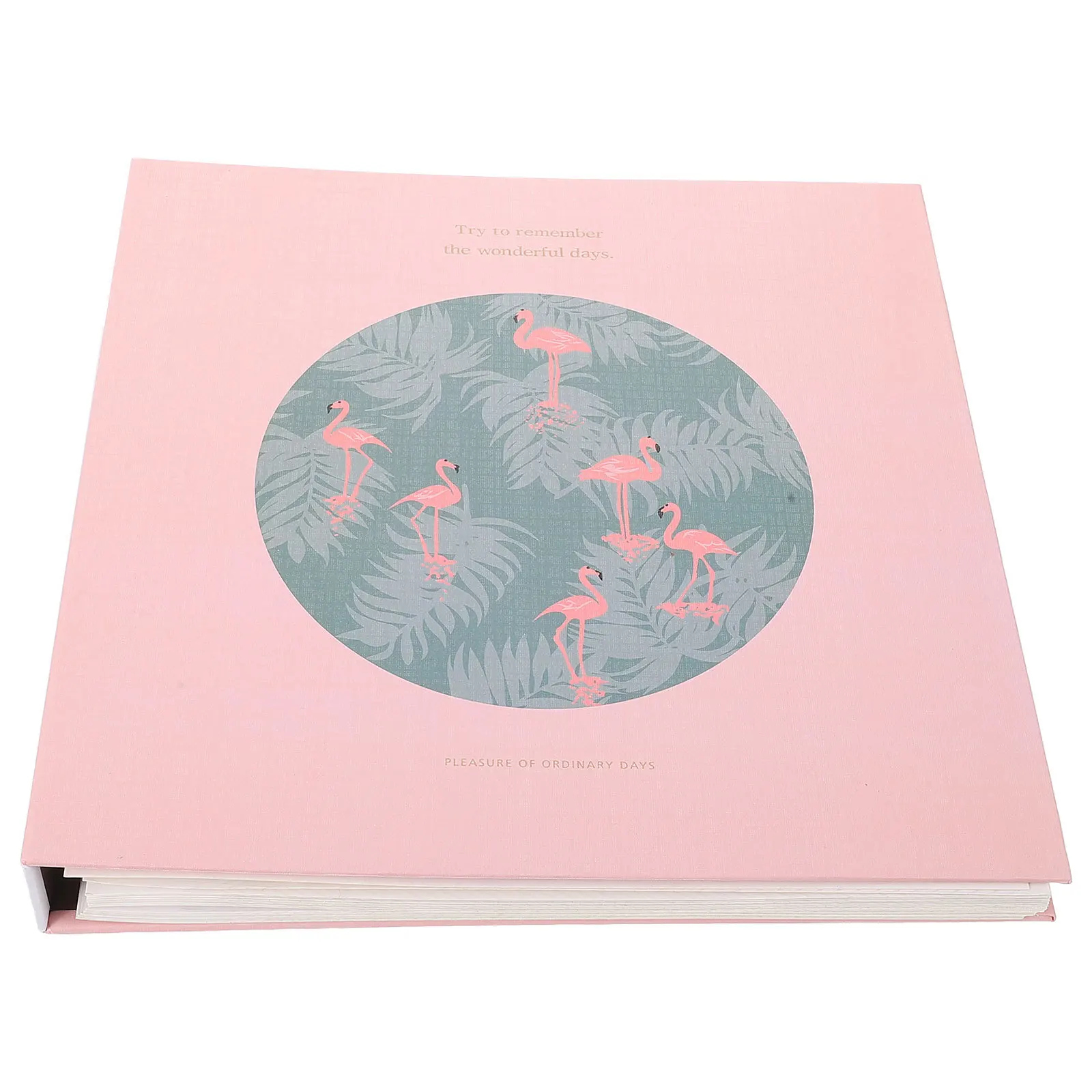 كتاب عينة نباتية لزجة متعددة الوظائف سهل إزالة ألبوم تخزين الزهور المجففة ألبوم مجموعة الزهور المضغوطة أوراق فضفاضة