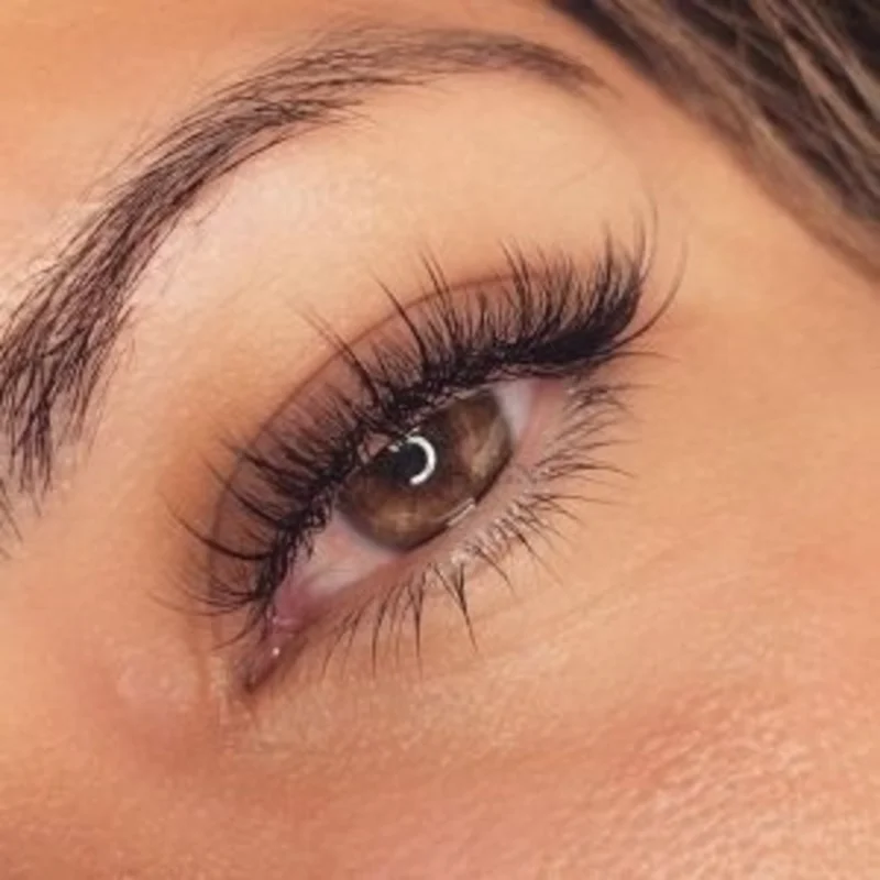 SENSE LASHES 12 Rows 0.07mm 5D Cashmere Volume Wispy Eyelash Extensions Natural Soft Easy Fans Volume Individual Lashes