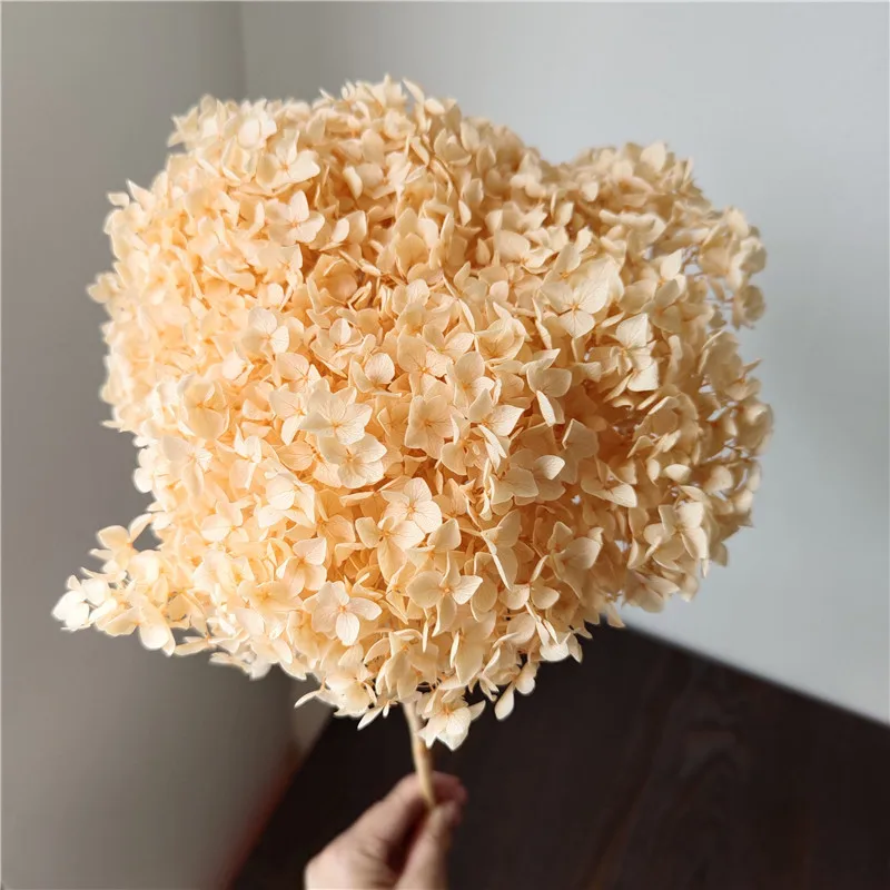 Nature Fresh Preserved 1 Bunch Anna Hydrangea With Rod Whole Decorative Office Decoration Diy Material Wedding Decoration