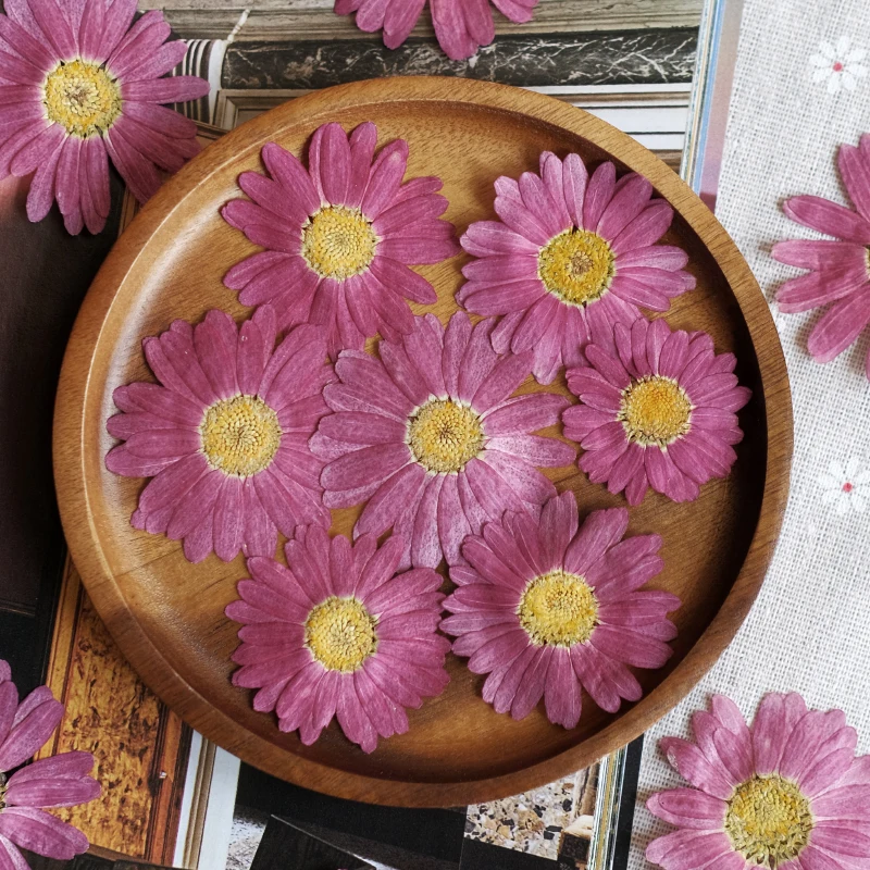 12 قطعة ، الطبيعية ضغط مارغريت زهرة جافة DIY بها بنفسك الوجه البتلة ماكياج النبات إطار صور الايبوكسي المحمول حافظة مجوهرات مسمار الفن حلية