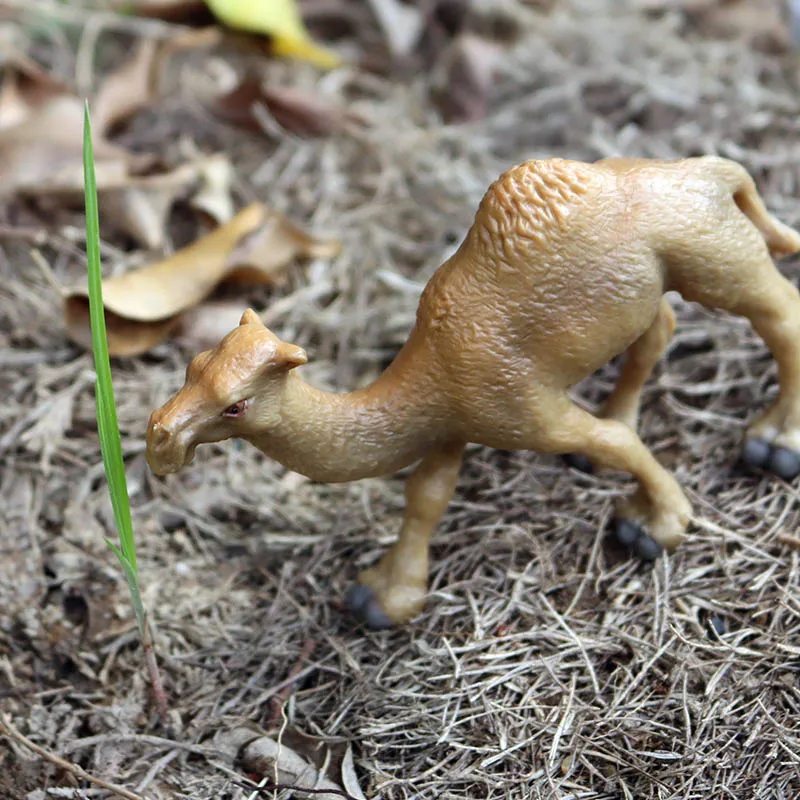 Oenux Wild Desert Camel Simulation Animal Kameel Camel Model Action Figures Solid PVC Figurines Educational Kids Toy Gift