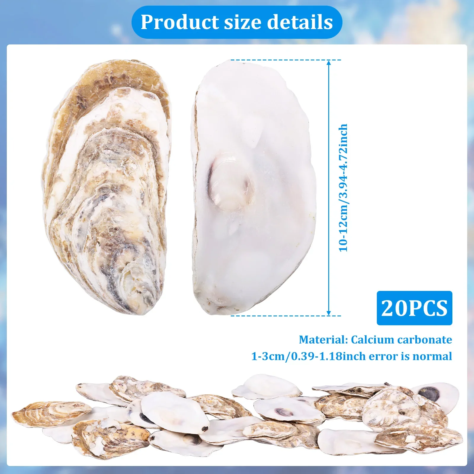 20Pcs Natural Oyster Shell Set 3-4'' Calcium Carbonate Oyster Shell DIY Craft Sea Shell for Home Party Decor Christmas Pendants view 2