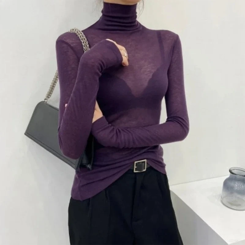 T-shirt Autumn Winter Long Sleeve Slim Stretch Tops Ladies Sexy Tees Plus Size New Fashion Basic Turtleneck Long Sleeve Women