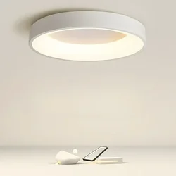 Nordic LED Round Ceiling Lights Modern Black White Gray Home Decor Lamps For Bedroom Living Room Study Dining Rooms Light Luster