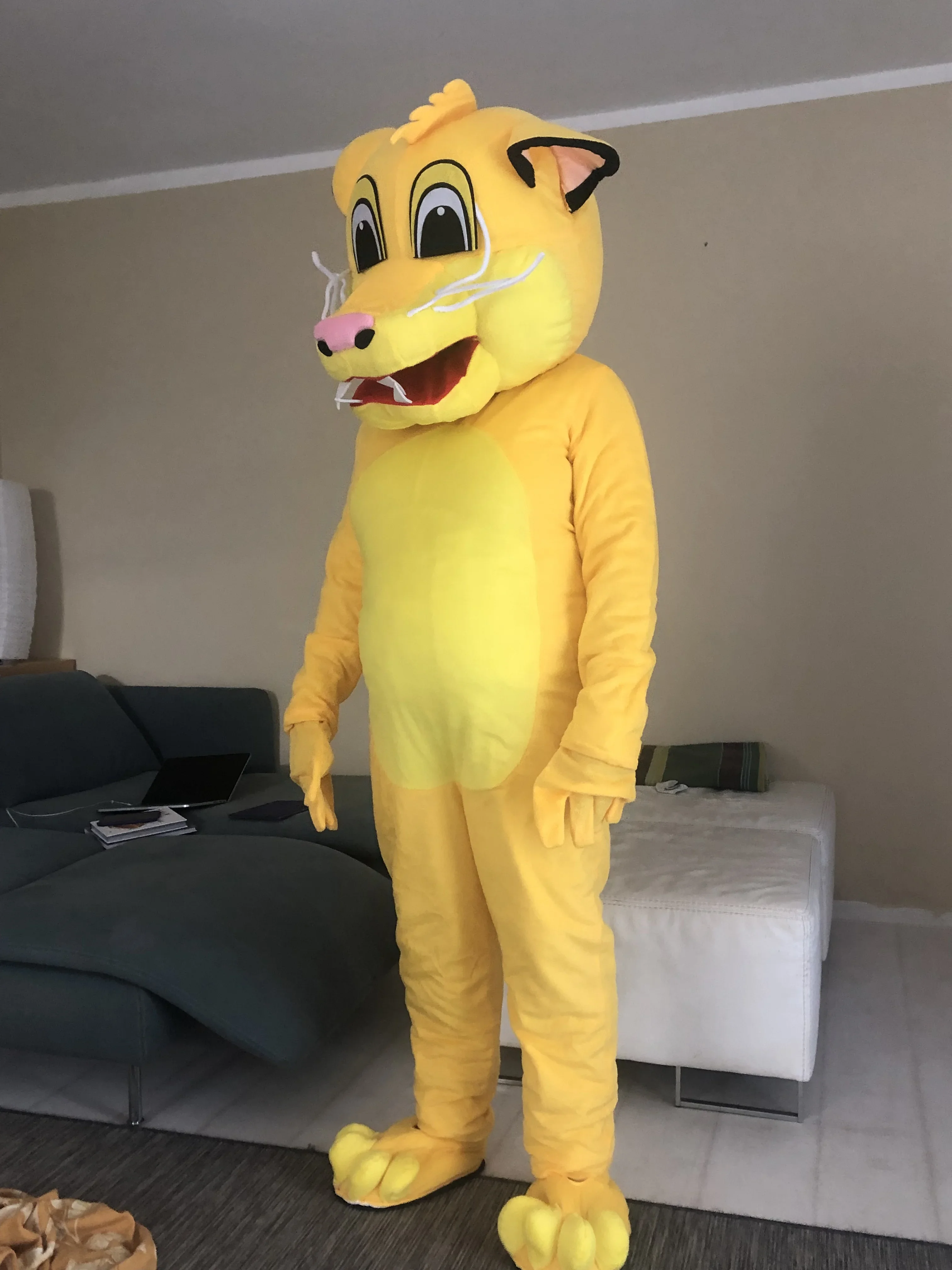 Costumes de cosplay King pour adultes, masque d'animaux de dessin animé, publicité de fête, mascotte d'Halloween, olympiques de carnaval