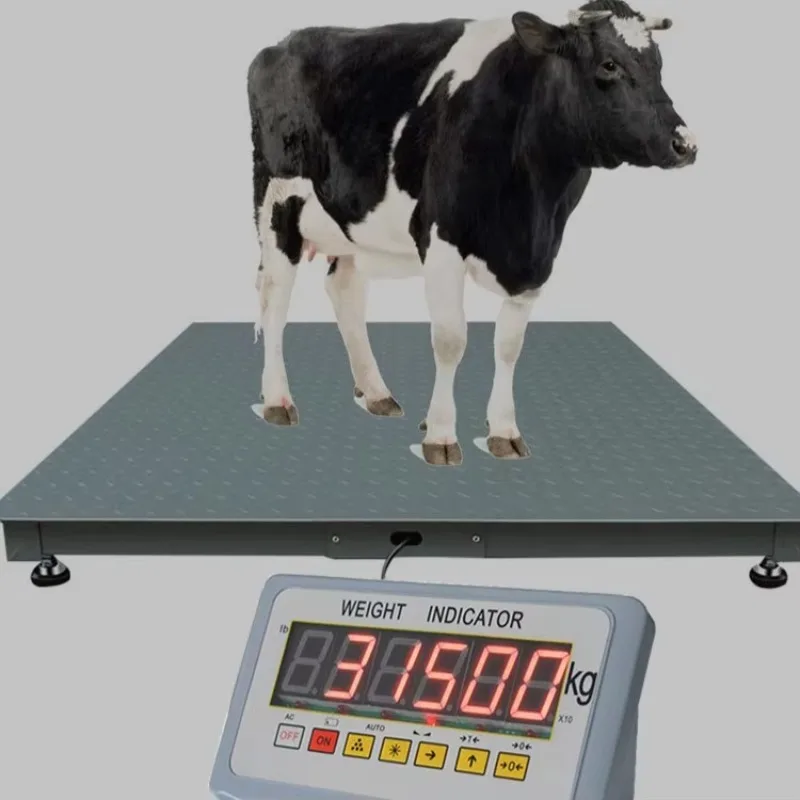 1000kg Heavy-Duty Livestock Platform Scale with Double-Door Fence; High-Precision Electronic Animal Weighbridge