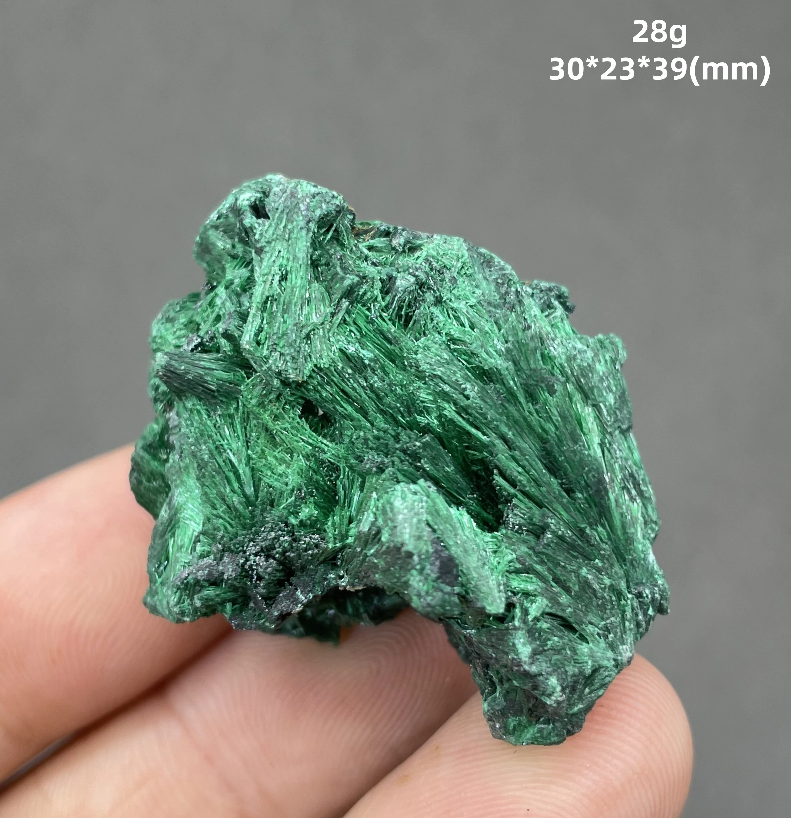 Natural Radial Need… - image