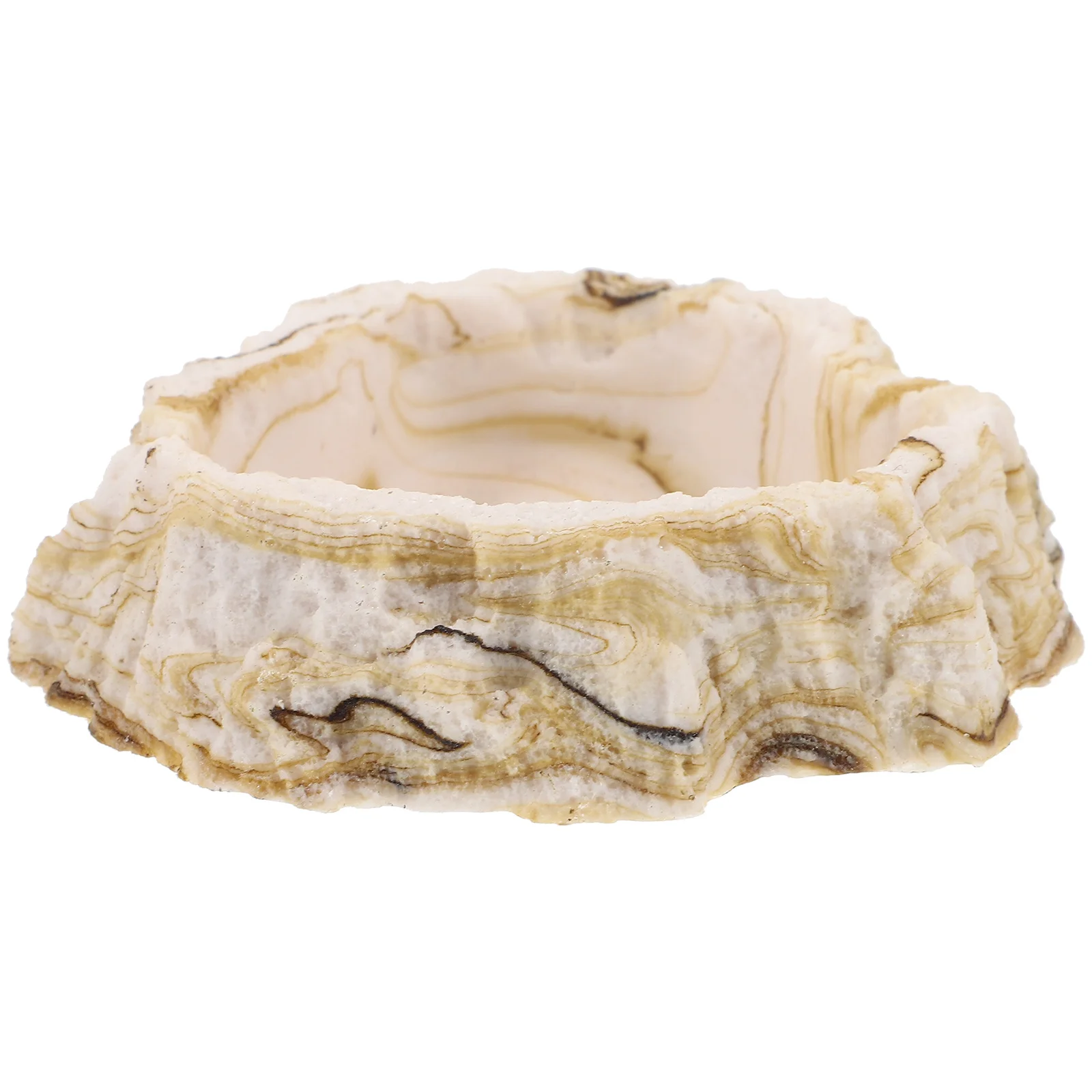 وعاء تغذية الصخور الراتنج للزواحف السحالي السلحفاة عدم الانزلاق تررم الغذاء طبق الماء الزاحف لوحة تغذية الحيوانات الأليفة وعاء الزواحف #2