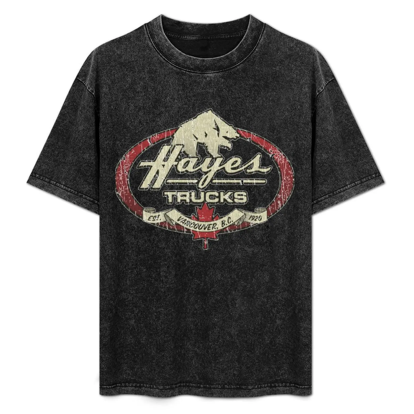 Hayes Trucks 1971 Classic T-Shirt quick drying shirts graphic plus size clothes blue archive plain black t shirts men