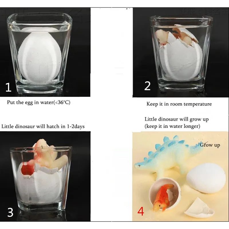 Brinquedos Educativos Infantis, Ovos Engraçados de Dinossauro, Chocagem de Água Mágica, Processo de Criação de Animais, Educação